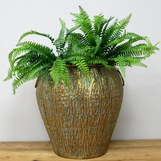 Fern plant in a textured bronze pot on a wooden surface with a white background