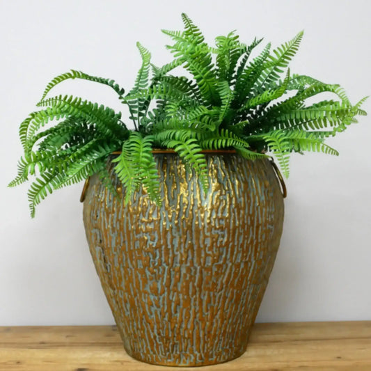 Fern plant in a textured bronze pot on a wooden surface with a white background