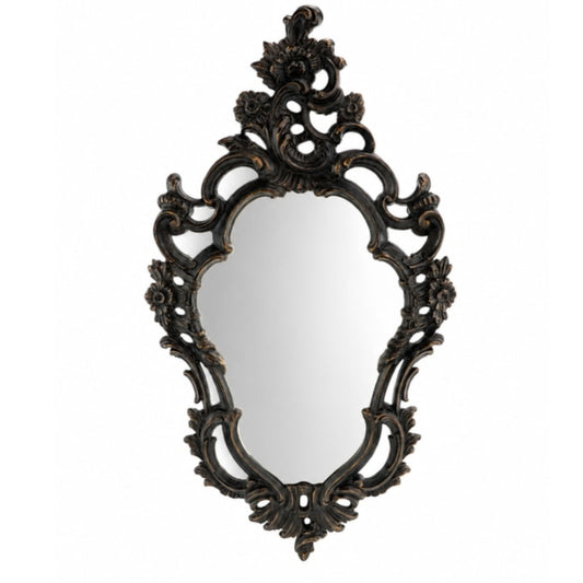 Antique Black Ornate Portrait Mirror