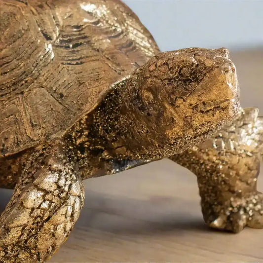 Bronze turtle sculpture on a wooden surface