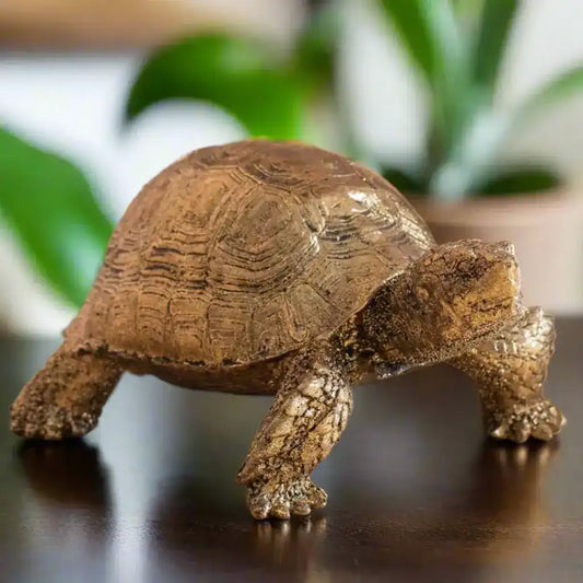 Bronze turtle sculpture on a wooden surface with a neutral background