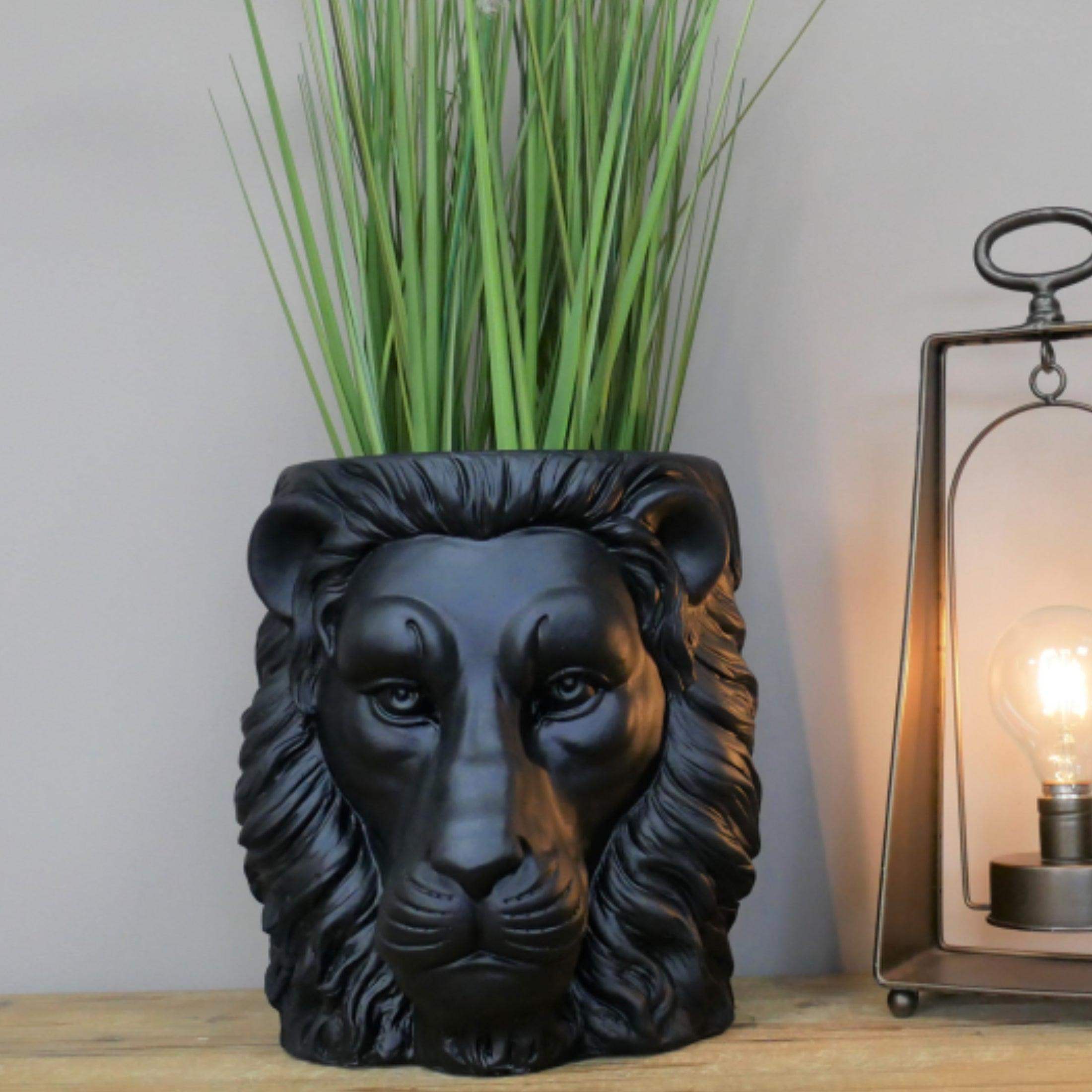 Black Lion Head Plant Pot 2