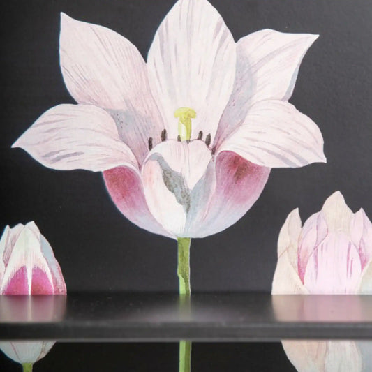 Decorative paper flower with pink and white petals on a black background