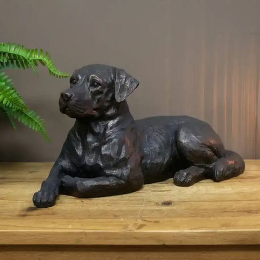 Bronze statue of a lying dog on a wooden surface with a plant in the background