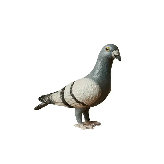 Realistic pigeon statue on a white background