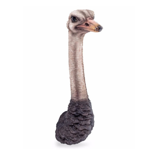 Plush toy resembling an ostrich on a white background