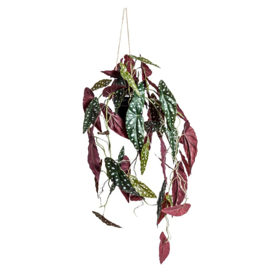 Hanging artificial plant with green and red leaves on a white background