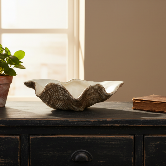 Decorative shell on a wooden surface with a plant and book in the background