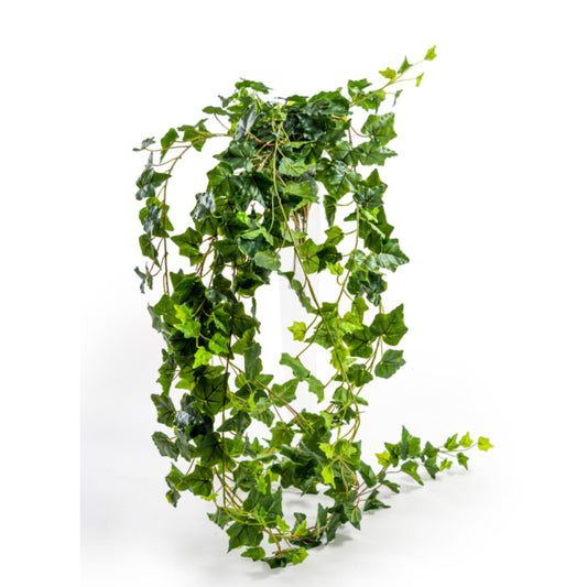 Artificial green ivy leaf garland on a white background