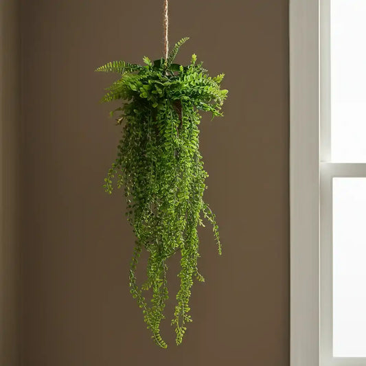 Hanging green fern plant against a brown wall with a window on the right.