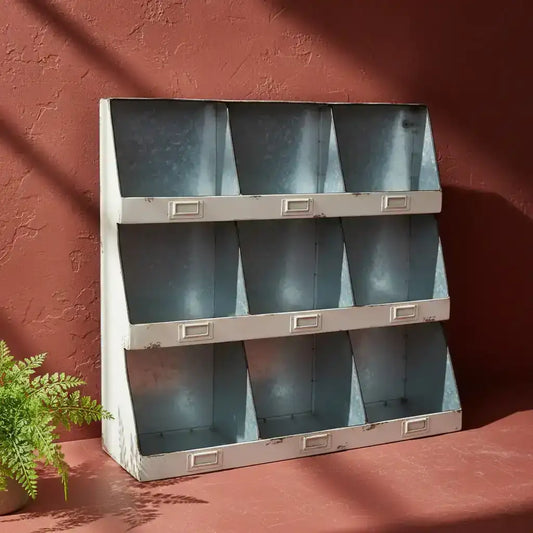 Metal storage shelves against a red wall with a plant on the left.