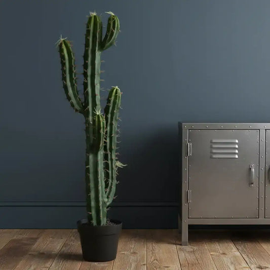 Potted cactus next to a metallic locker against a dark wall.