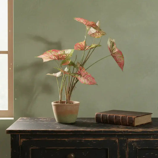 Potted Faux Angle Wings Plant