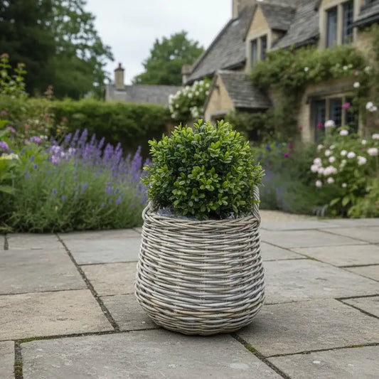 Potted plant in a wicker basket on a stone patio with a garden and house in the background