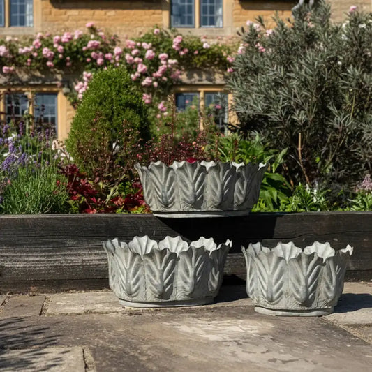 Three decorative stone planters with leaf-like patterns on a wooden surface.