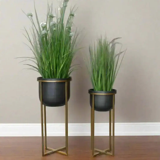 Two potted plants on stands against a plain wall.