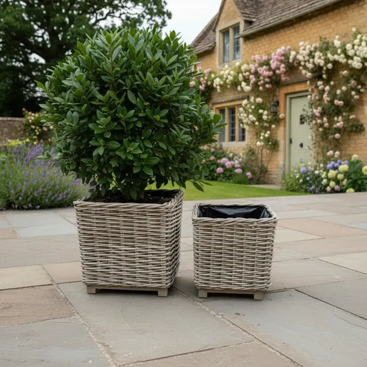 Two wicker planters with green plants on a stone patio in front of a house with floral decorations.