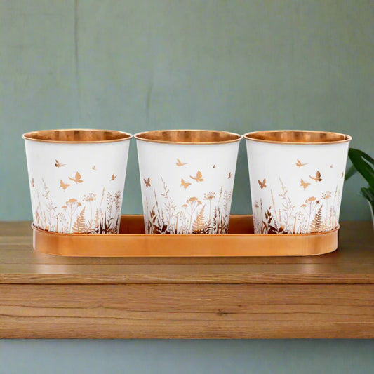 Three white cups with gold floral patterns on a wooden tray against a white background