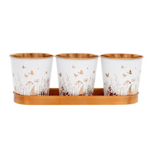Three white cups with gold floral designs on a wooden tray against a white background