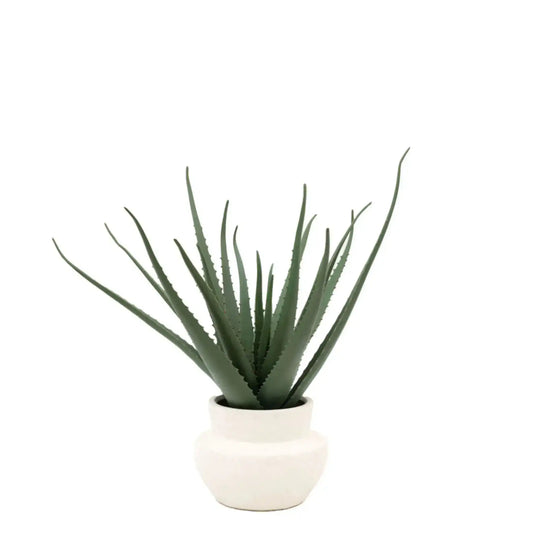 Artificial Aloe Vera in White Ceramic Pot - The Farthing