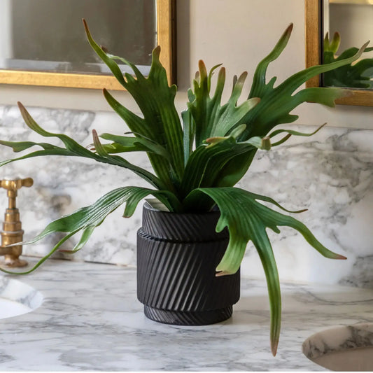 Artificial Playycerium Plant in Black Ceramic Pot - The Farthing