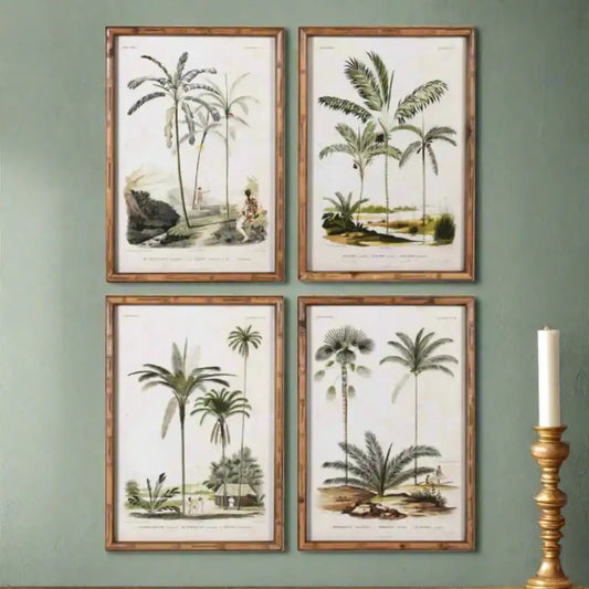Bamboo Style Vintage Palm Tree Illustrations - set of four - The Farthing