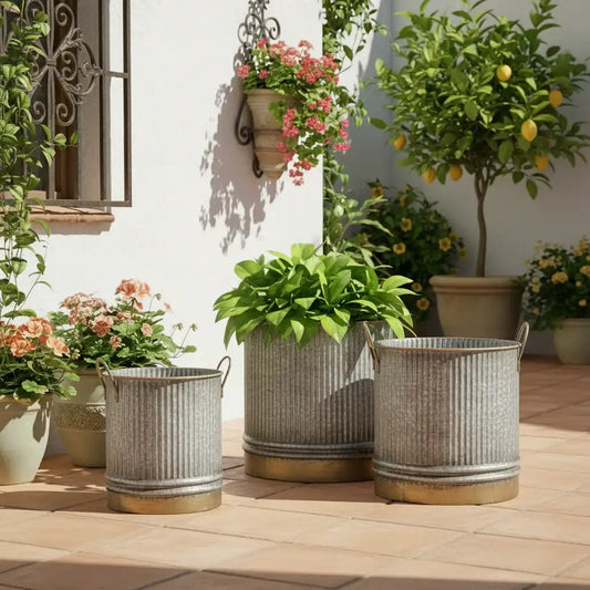 Decorative planters on a wooden deck with a white wall and plants in the background