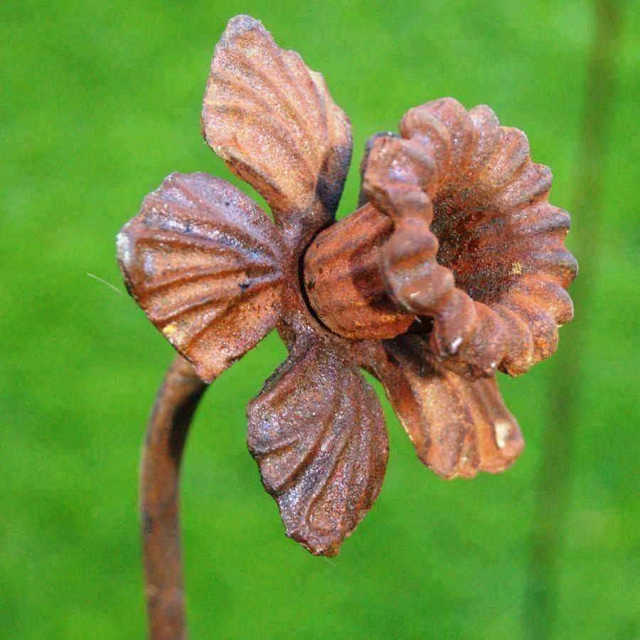 Rusty Daffodil Flower Garden Plant Pot Pin - The Farthing