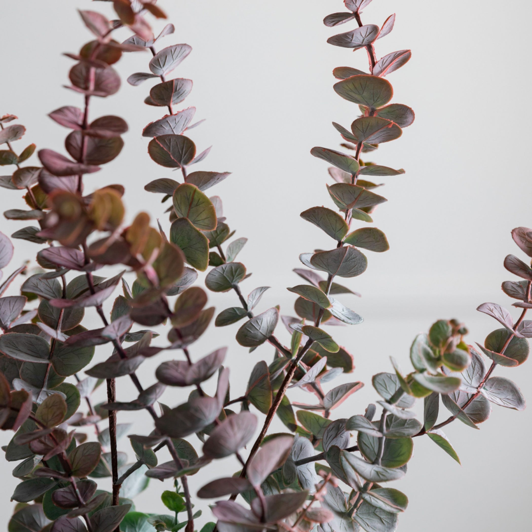 Set of Six Faux Dusky Blush & Grey Eucalyptus Stems - The Farthing