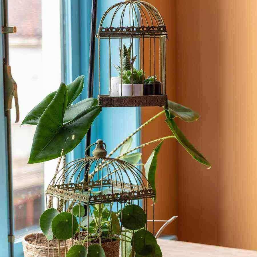 Set of Two Aged Metal Decorative Plant Pot Cages - The Farthing