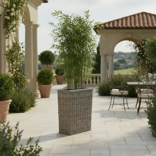 Outdoor patio with wicker plant stand and potted plants