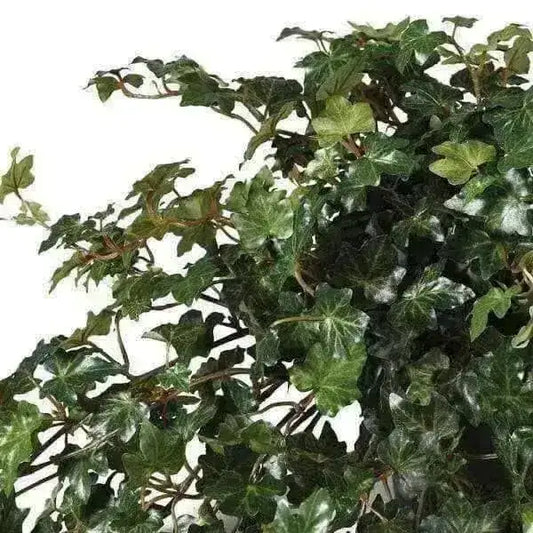 Artificial Large Potted Trailing Lace Ivy - The Farthing