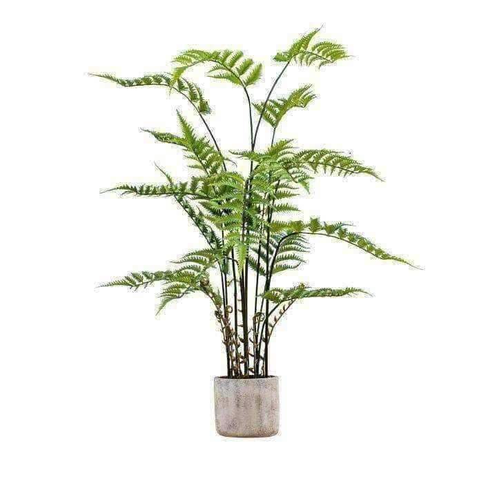 Artificial Potted Fern Plant in Cement Pot - The Farthing