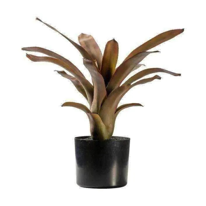 Artificial Potted Russet Toned Bromelaid Plant - The Farthing
