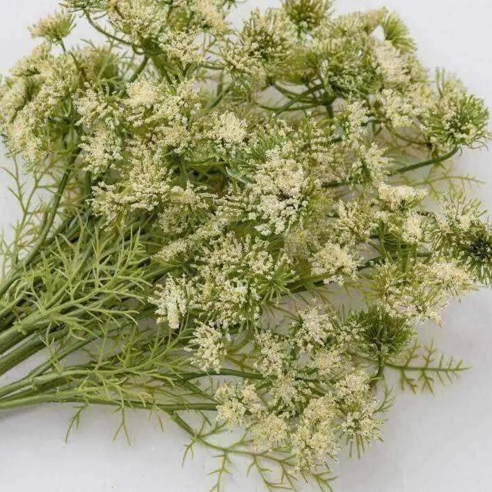 Faux Queen Annes Lace Spray 12pk - The Farthing