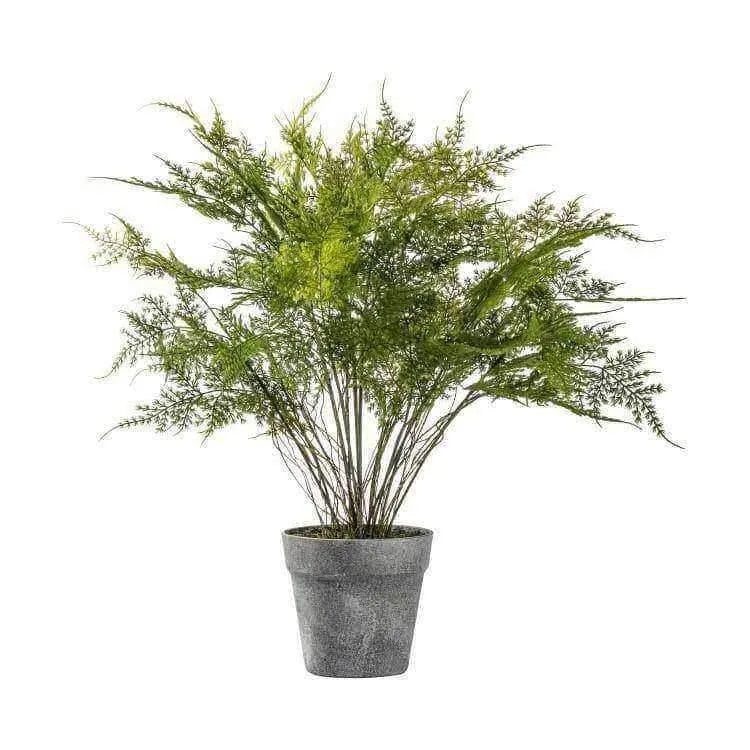 Potted Artificial Green Asparagus Fern - The Farthing