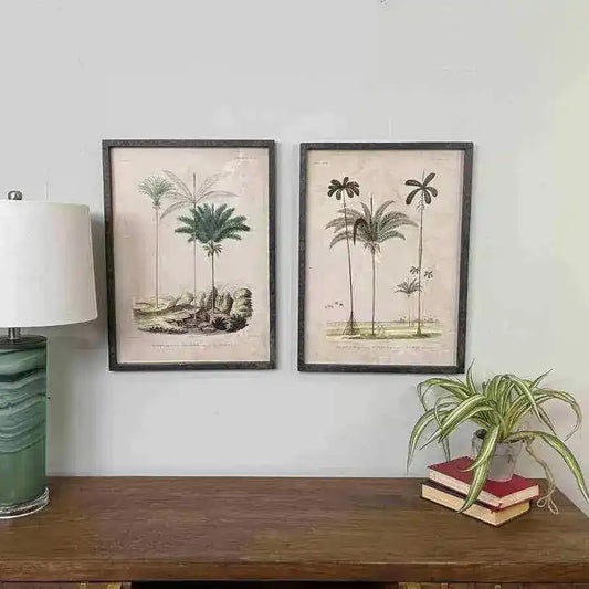 Vintage Palm Tree Illustrations - set of two - The Farthing