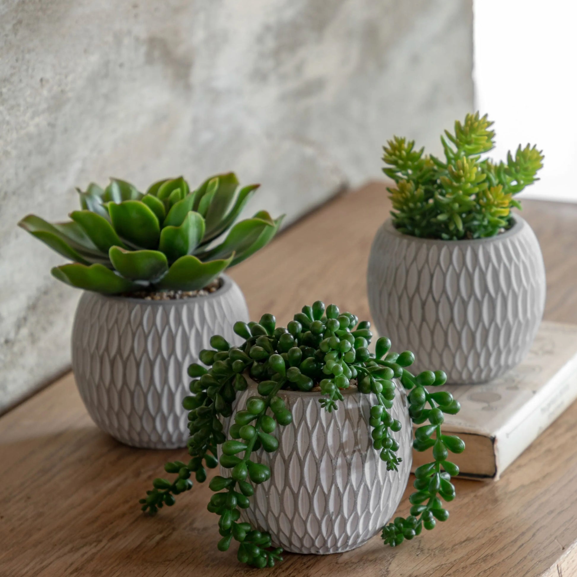 3 Small Potted Faux Succulents in Ceramic Pots