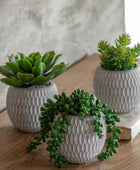 3 Small Potted Faux Succulents in Ceramic Pots