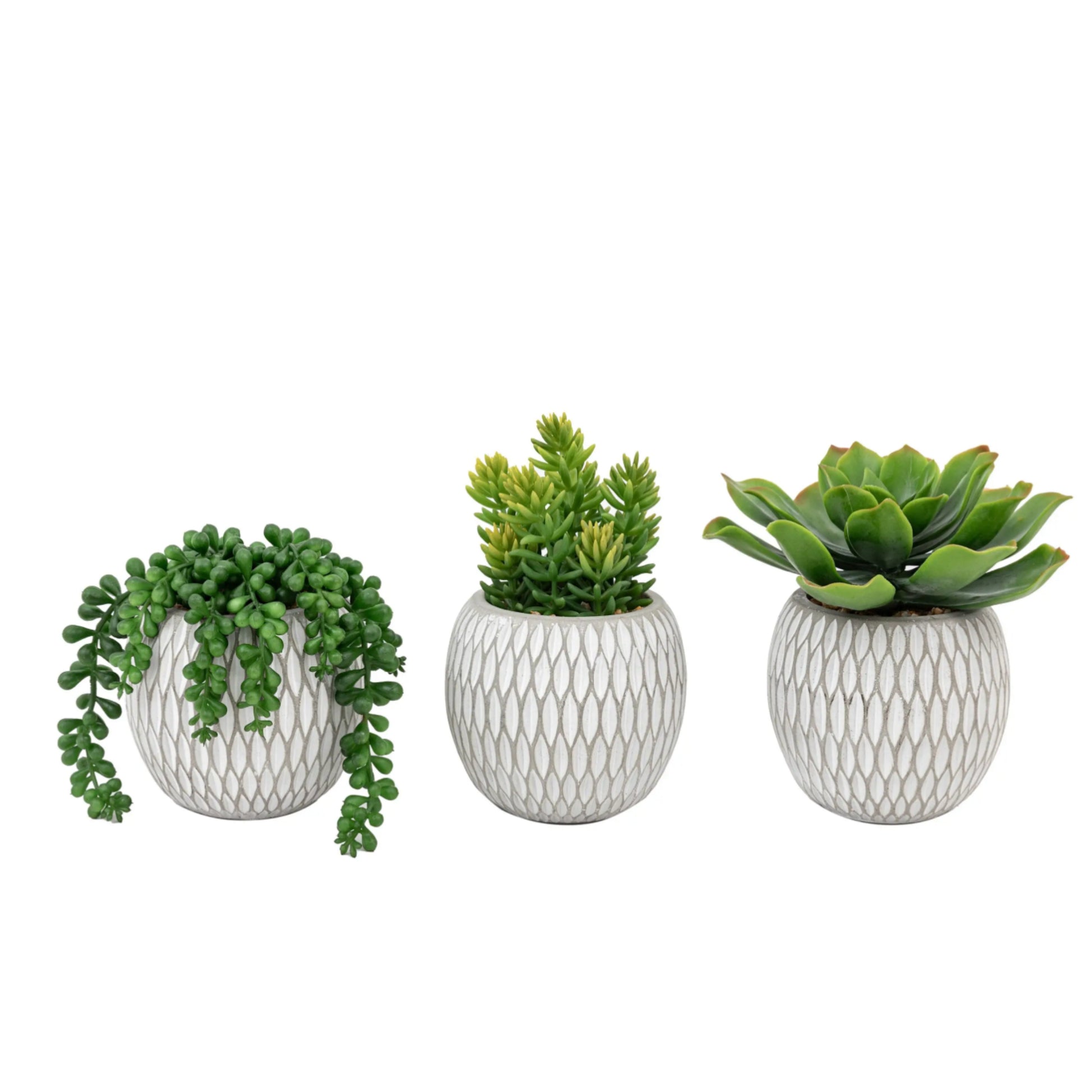 3 Small Potted Faux Succulents in Ceramic Pots 1