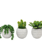 3 Small Potted Faux Succulents in Ceramic Pots 1