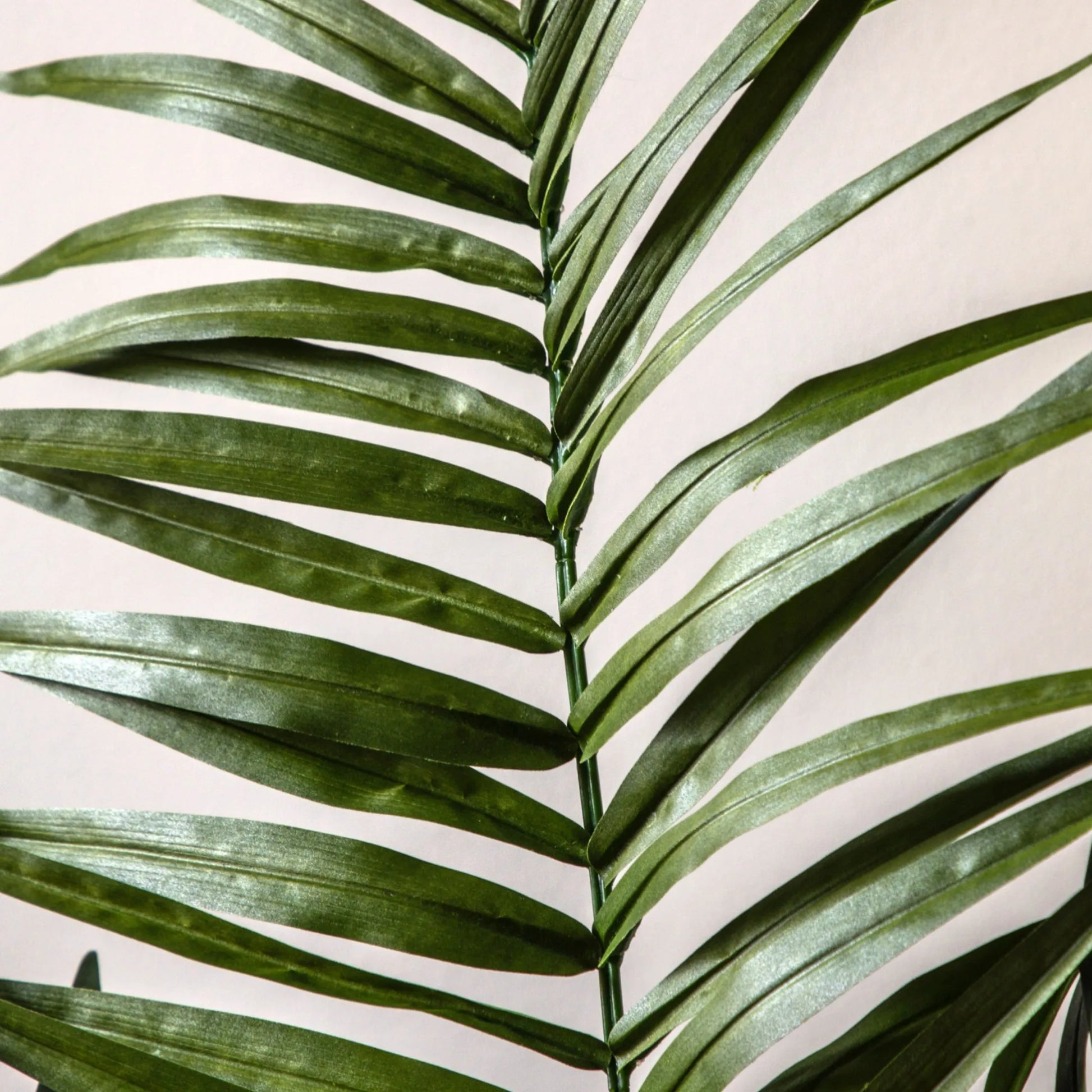 Artificial Green Kentia Palm Tree at the Farthing 