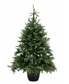 7ft Artificial Green Nordman Festive Tree