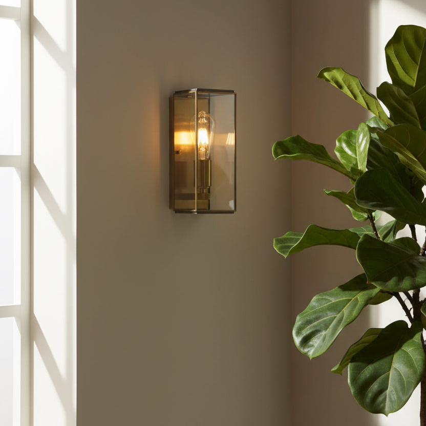 Wall-mounted light fixture on a neutral wall with a plant to the right
