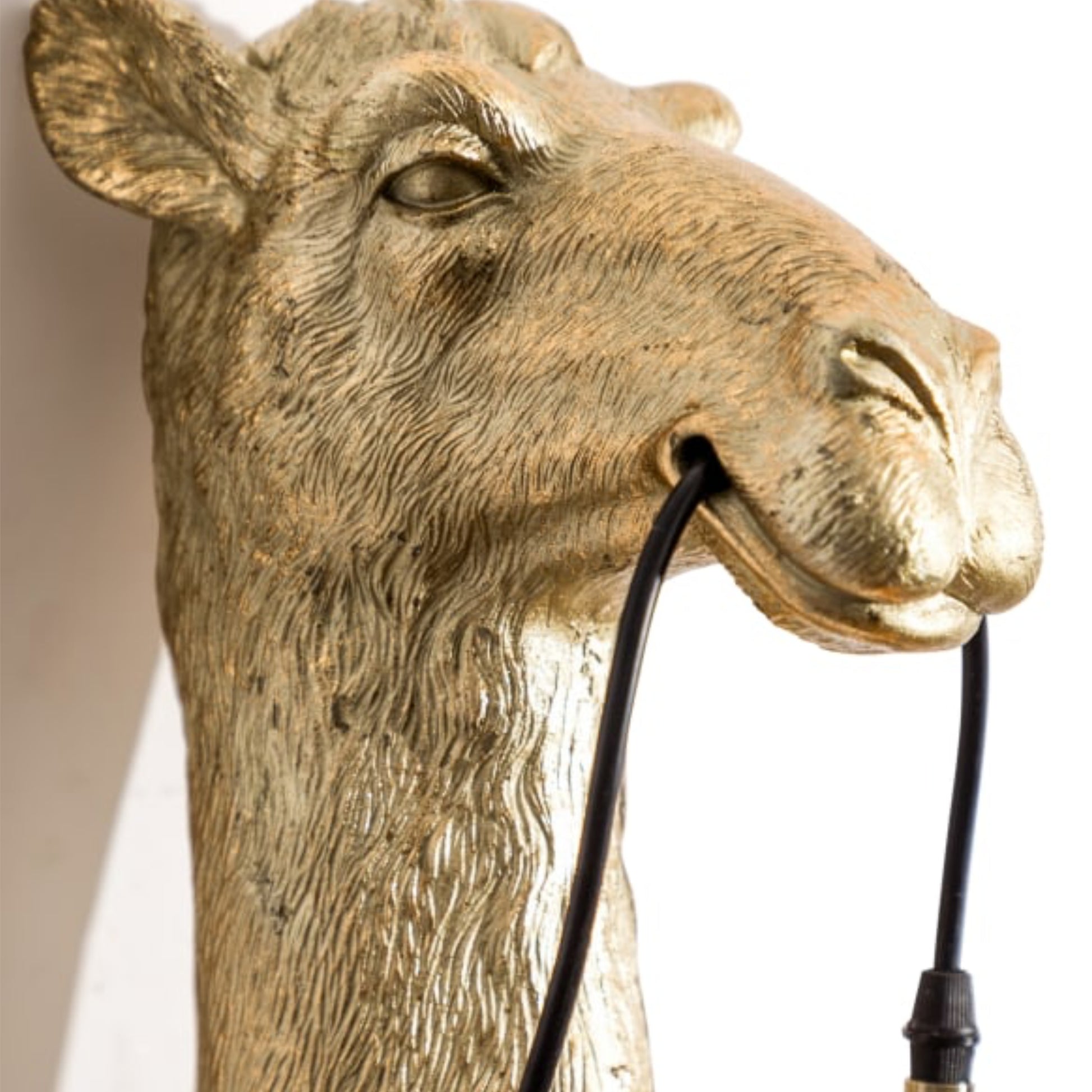 Antique Gold Camel Wall Light