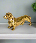 Gold dachshund figurine on a white surface with a light gray wall and green plant in the background