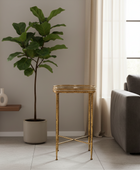 Living room with a potted plant, side table, and sofa.