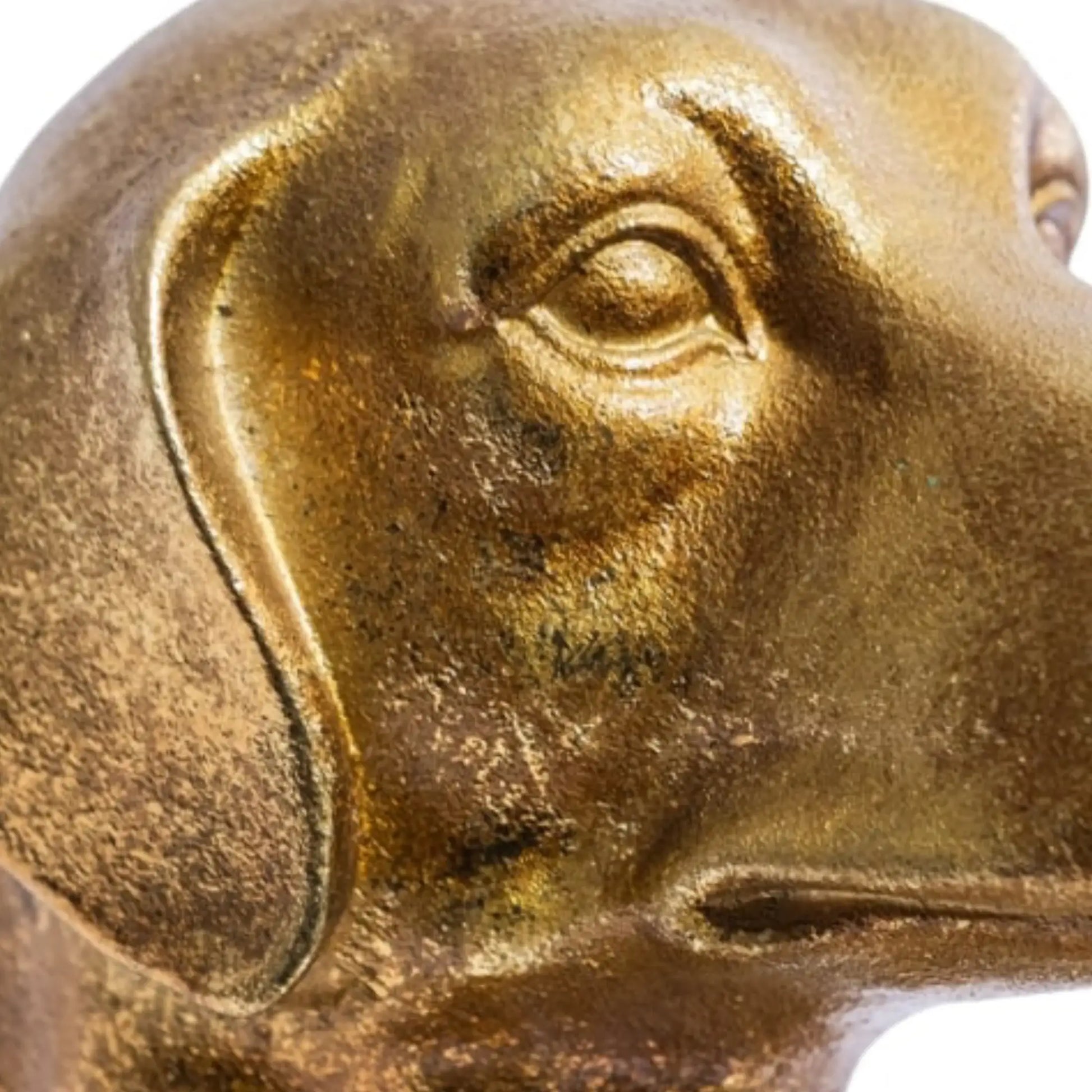 Close-up of a bronze statue with detailed facial features