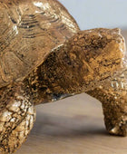 Bronze turtle sculpture on a wooden surface