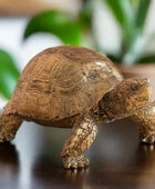 Bronze turtle sculpture on a wooden surface with a neutral background